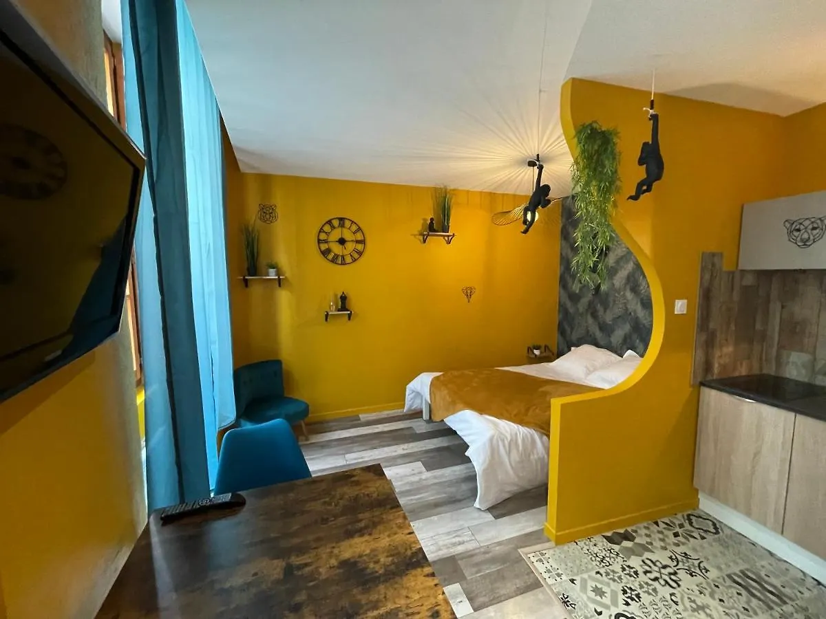 JuNgLe ROOM Romans-sur-Isère France
